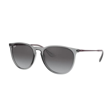 Ray-Ban ERIKA RB4171 65138G