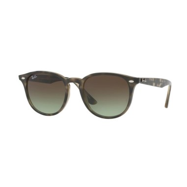 Ray-Ban RB4259 731/E8