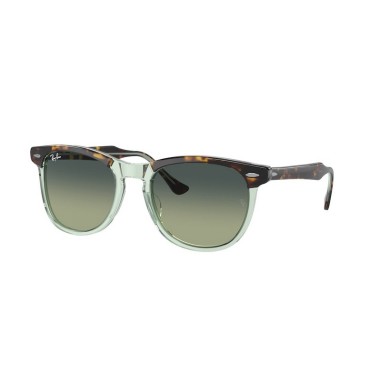 Ray-Ban EAGLEEYE RB2398 1376BH