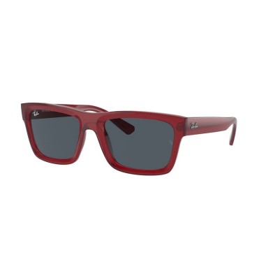 Ray-Ban WARREN RB4396 667987