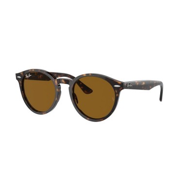 Ray-Ban LARRY RB7680S 902/33