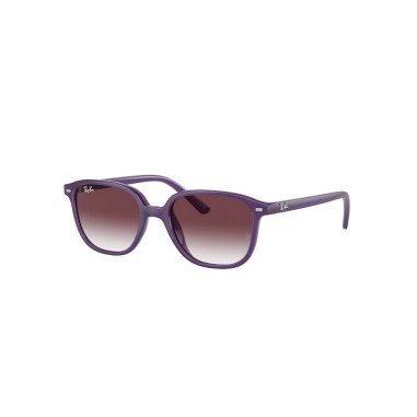 Ray-Ban JUNIOR LEONARD RJ9093S 713136