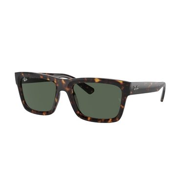 Ray-Ban WARREN RB4396 135971