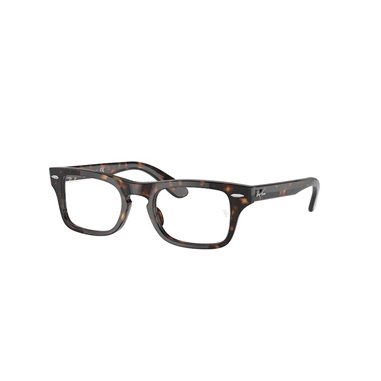 Ray-Ban Junior BURBANK RY9083V 3887